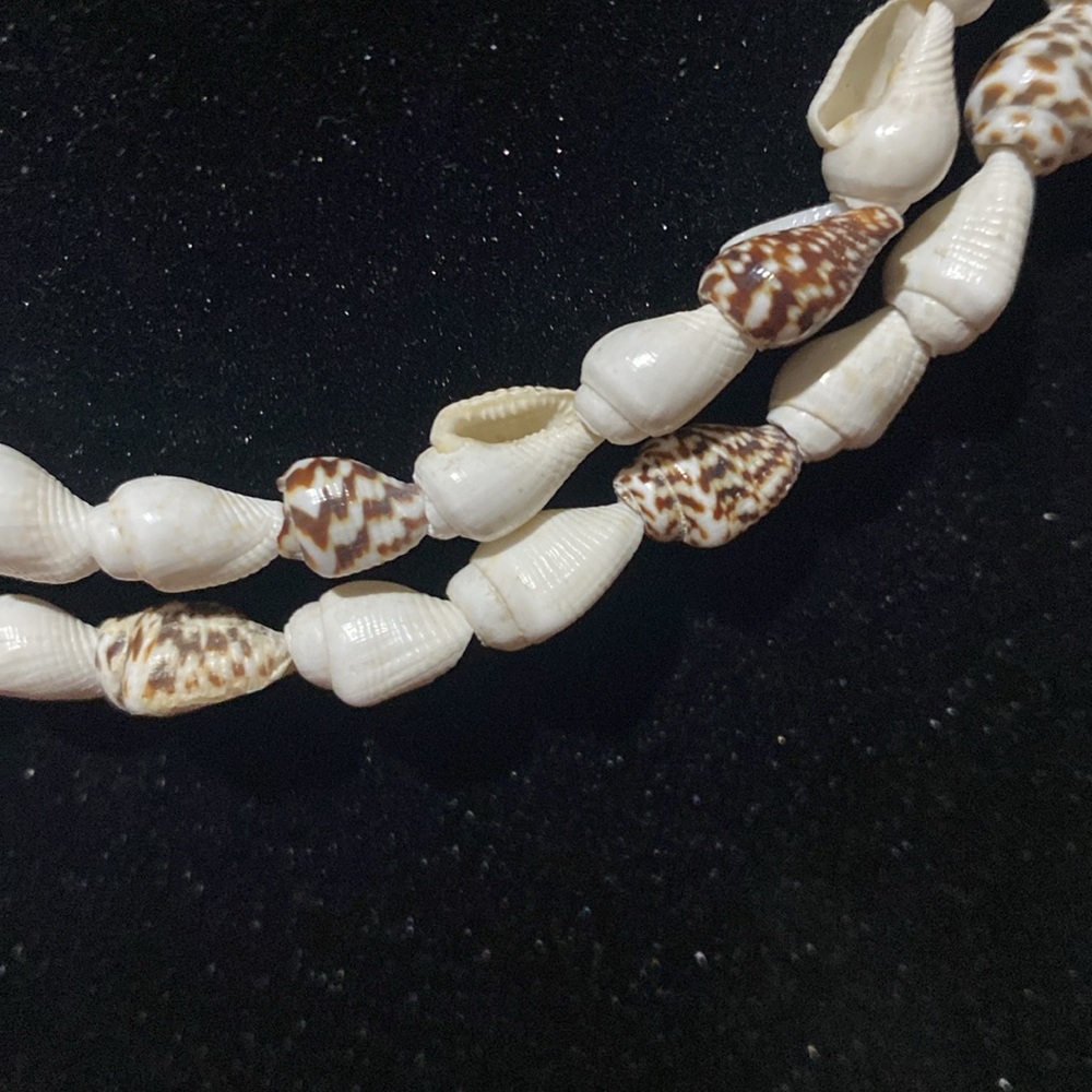Small Shell Necklace - image 2